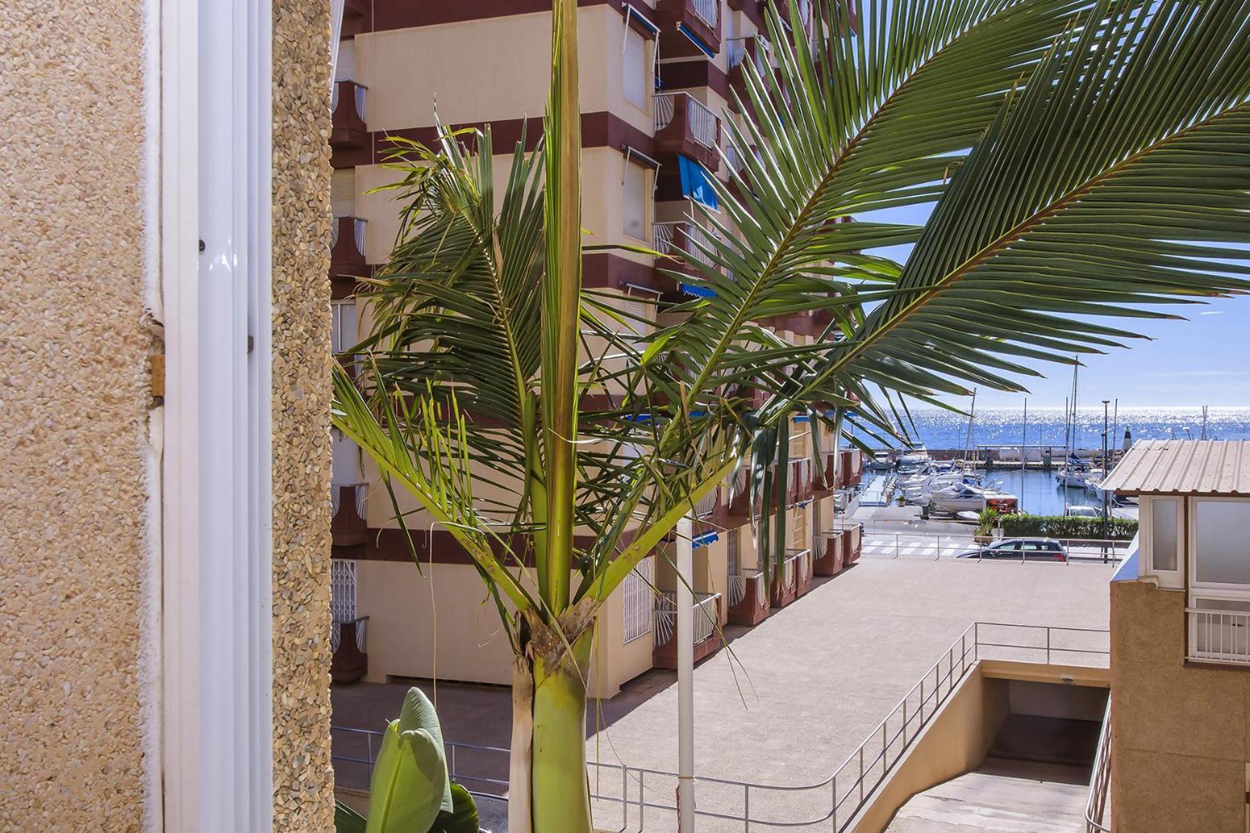 Aguilas Delicias Piscina Wifi Ac Parking Gratis 外观 照片